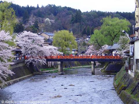 ancora Takayama