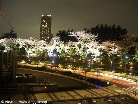 Roppongi