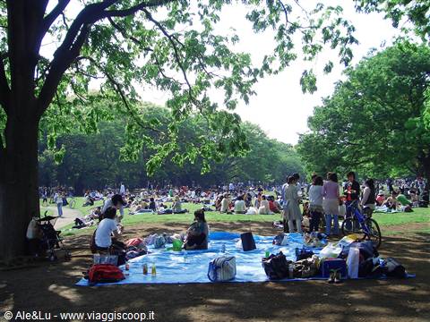yoyogi park - Tokyo