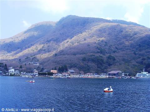 cigni giganti ad Hakone...