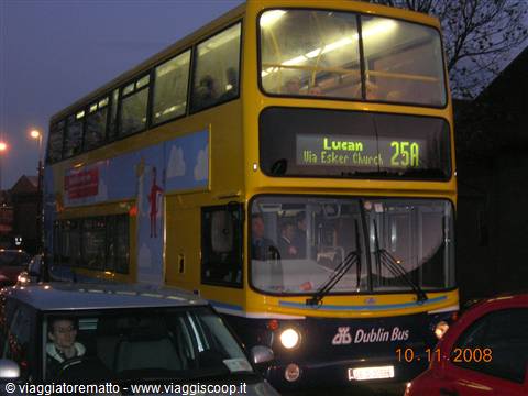 Dublino - bus