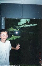 Grena - acquario