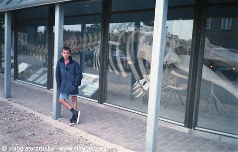 Nymindegab - museo ittico