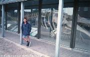 Nymindegab - museo ittico