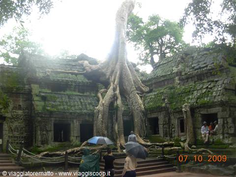 Siem Reap - Ta Prohm