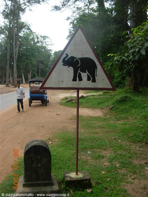 Siem Reap - occhio!