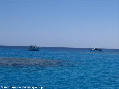 Isola di Tiran