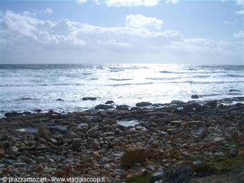 strada costiera dal capo veso Cape Town