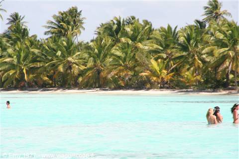 Saona
