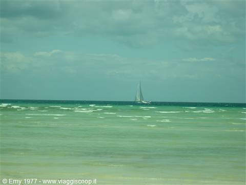 Phi Phi Island