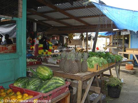 SCARBOROUGHT MERCATO