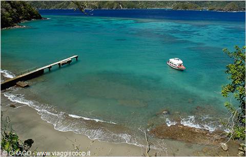 LITTLE TOBAGO