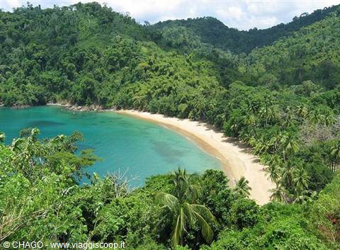 ENGLISHMAN'S BAY