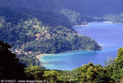 STORE BAY