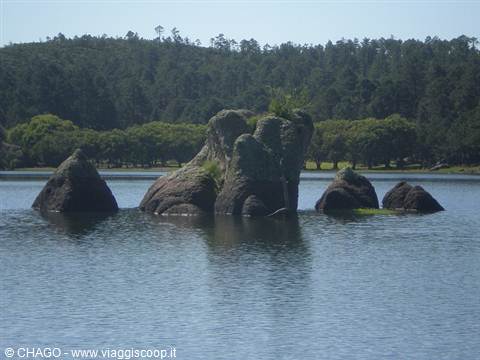 lago Arareko