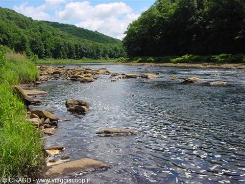 ALLEGHENY RIVER