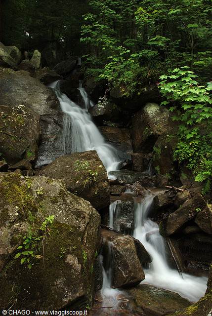 BENT RUN FALLS