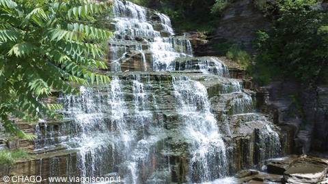 HECTOR FALLS