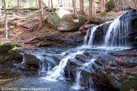 LOGAN FALLS