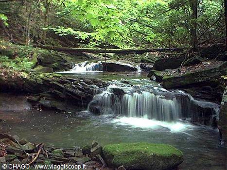 MONONGAHELA