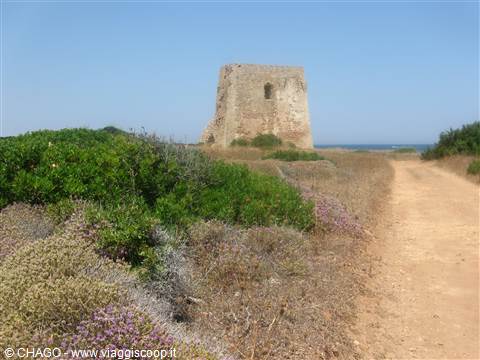 torre Pozzelle