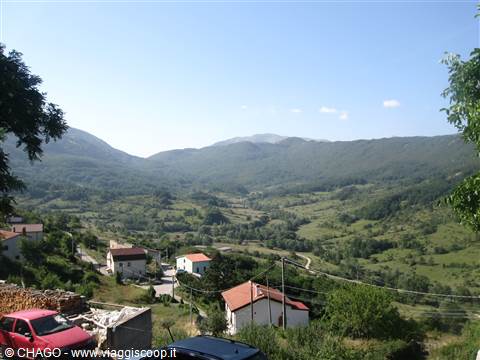 Bisegna