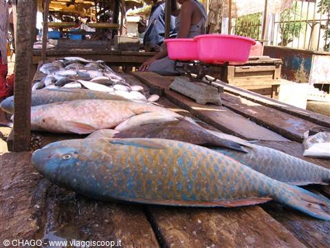 fish market