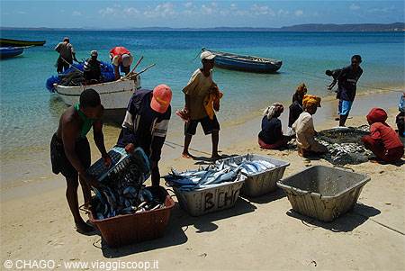 fishermen