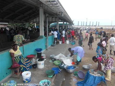 fish market