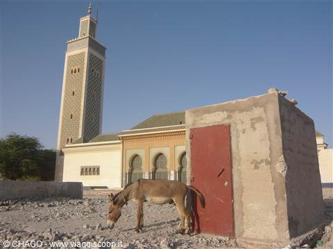 mosquea Marocchina