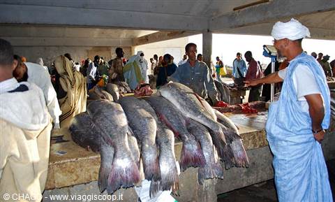 fish market
