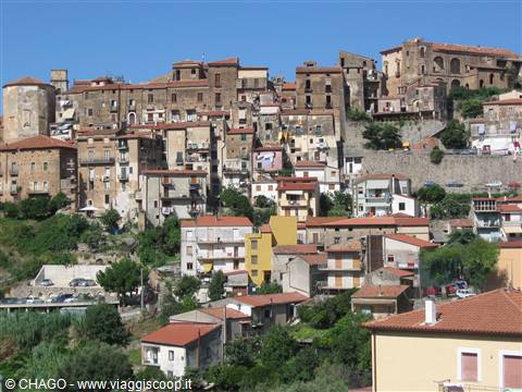 PISCIOTTA