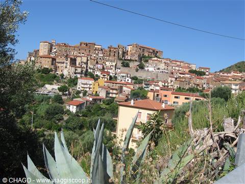 PISCIOTTA