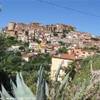 PISCIOTTA ITALIA 