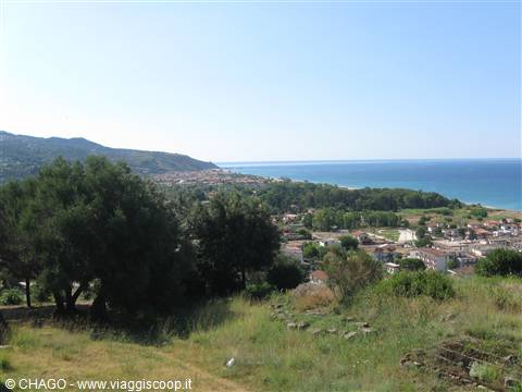 ASCEA MARINA