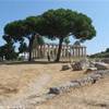 PAESTUM TEMPIO DI CERERE ITALIA 