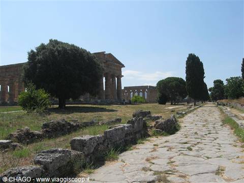 PAESTUM VIA CONSOLARE
