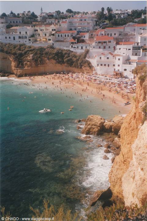 CARVOEIRO