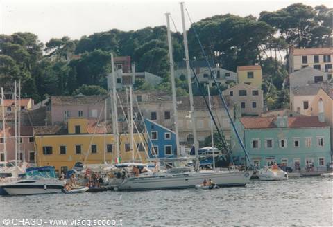 CASE COLORATE