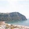 CETARA ITALIA 