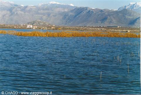 LAGO DI SCUTARI