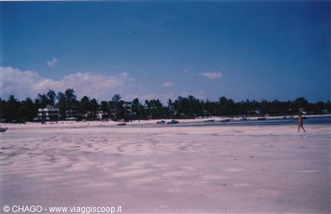 la bianchissima spiaggia del White Sands