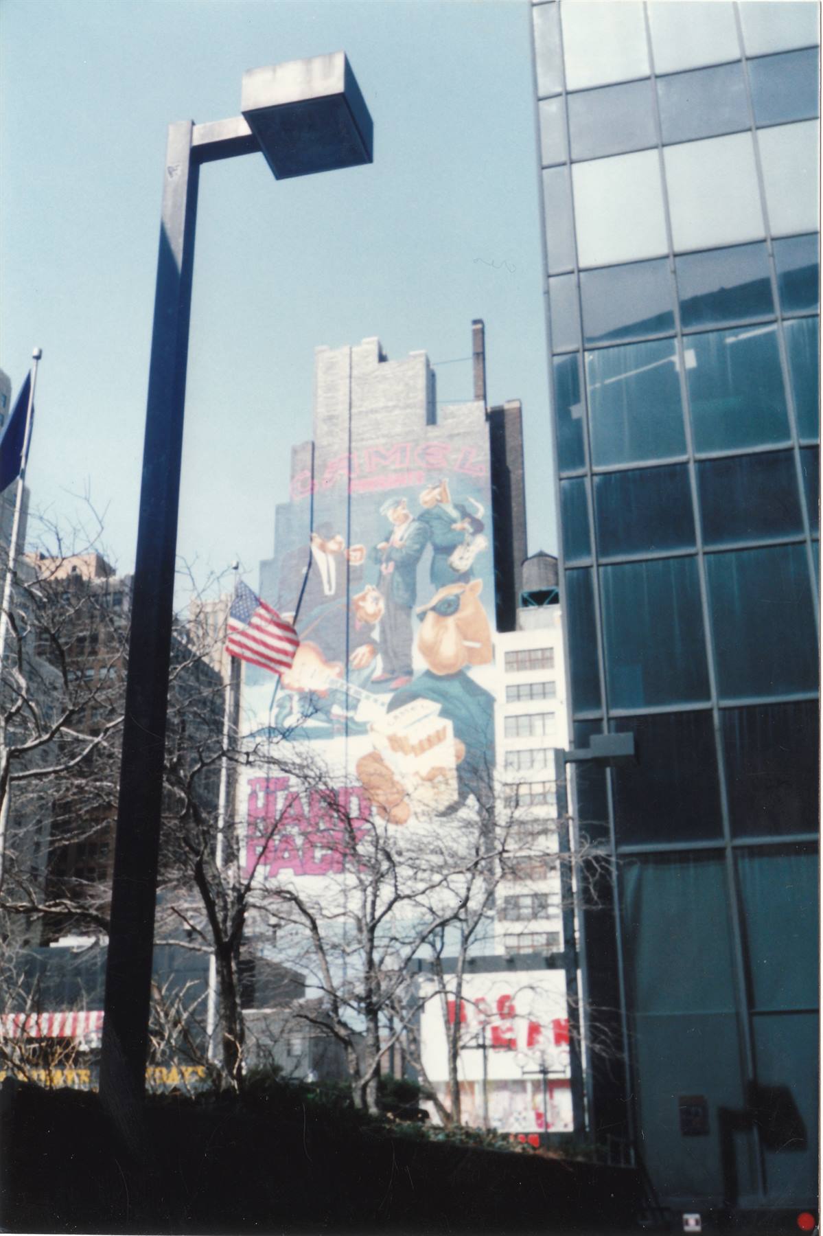 N.Y. City
