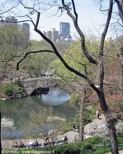 magnifico scorcio di Central Park