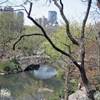 magnifico scorcio di Central Park STATI UNITI D'AMERICA 