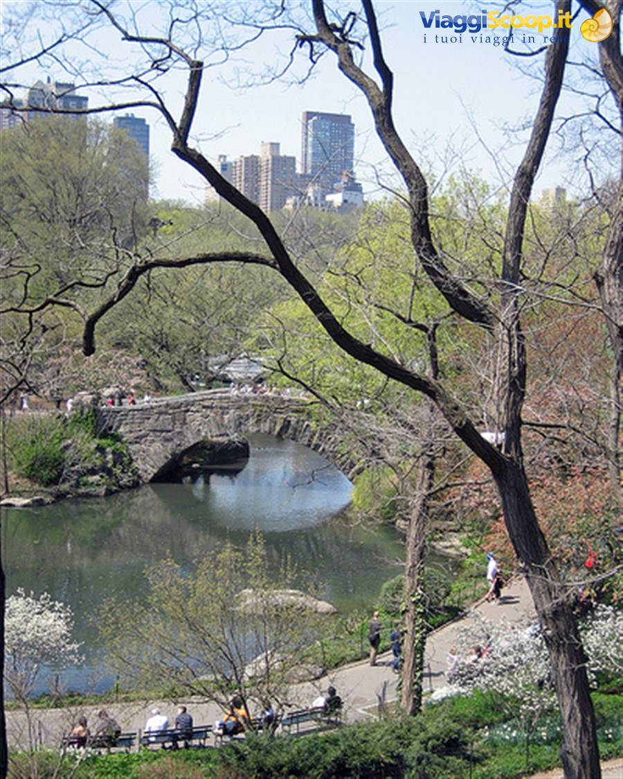 magnifico scorcio di Central Park