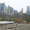 il parco dei newyorkesi STATI UNITI D'AMERICA 