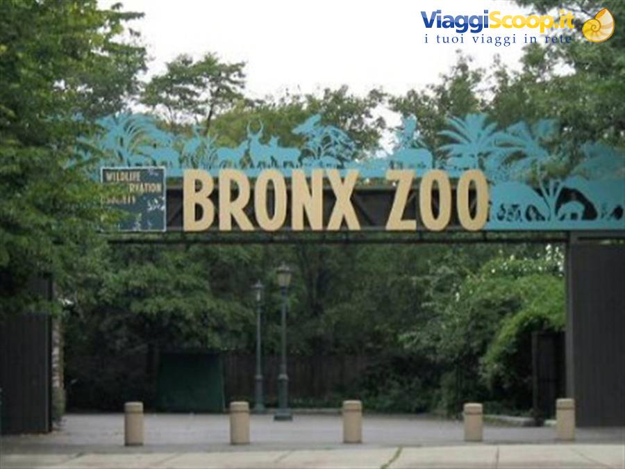 lo zoo del Bronx