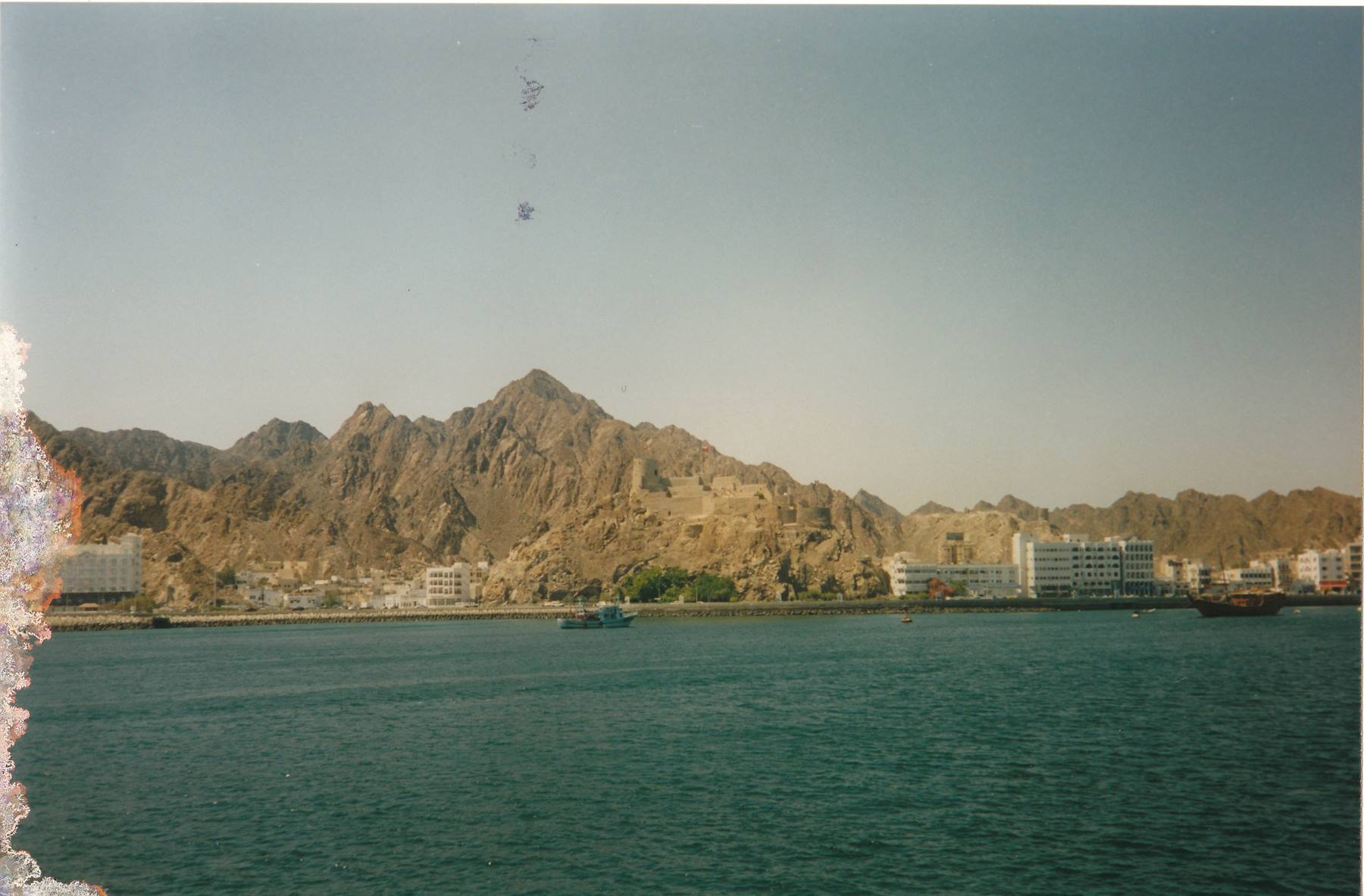 Muscat