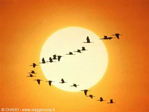 tramonto gibutino